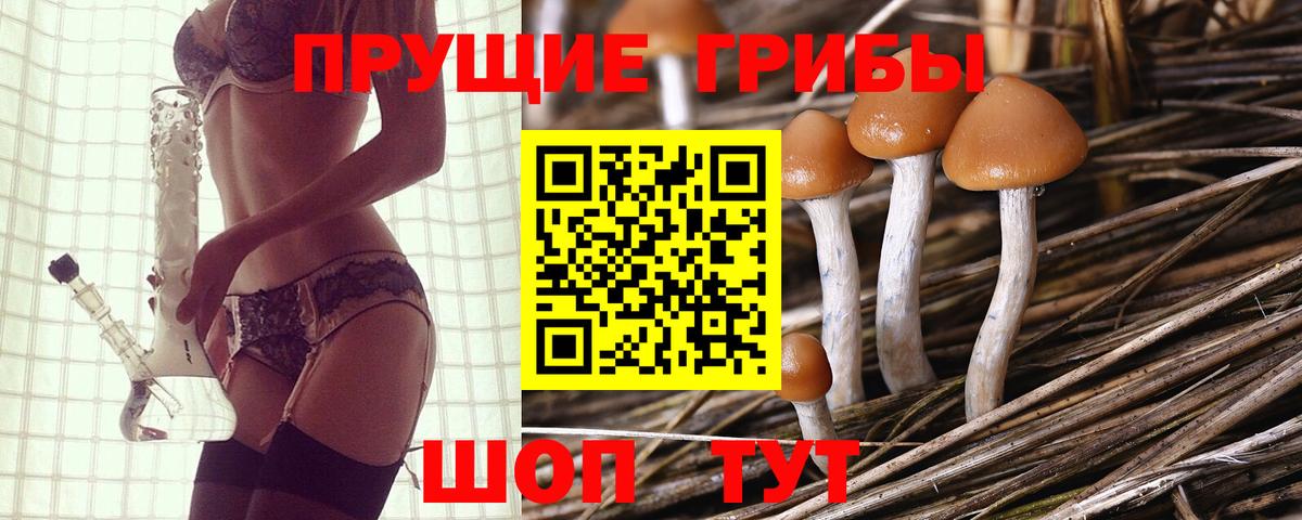 Псилоцибиновые грибы мицелий Кореновск